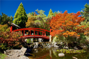 Royal-Tasmanian-Botanical-Gardens-